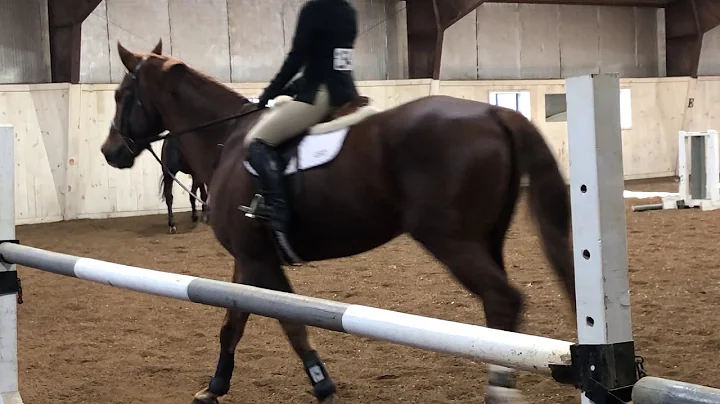 Alexis Barnes IEA Nov 23,2019