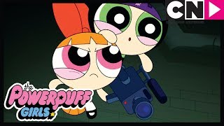 Powerpuff Girls Long Skate Home Cartoon Network
