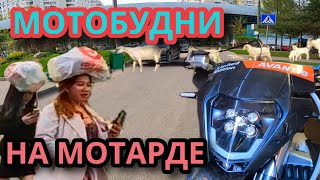 Мотобудни на мотарде по городу Avantis A7 Motard #1