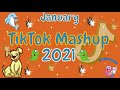 New TikTok Mashup 2021 January  💣Not Clean🔫