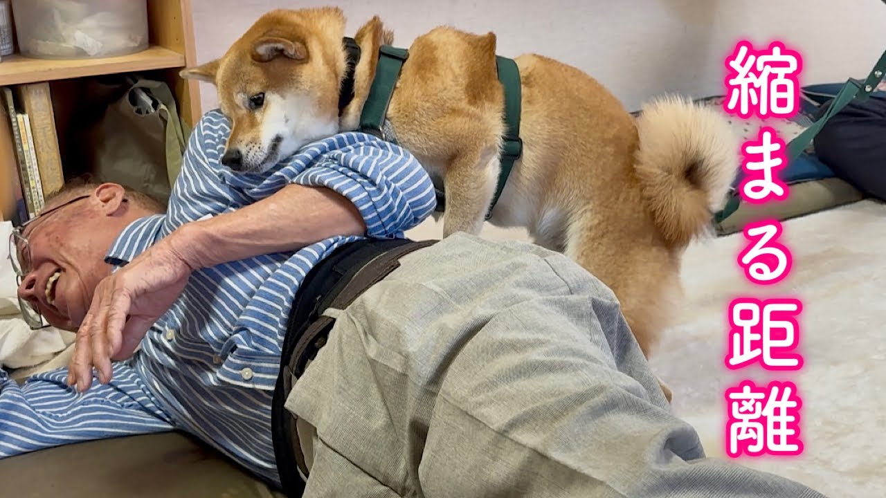 【柴犬さん2016】Acne Studios Ryderイージースラックス maxresdefault.jpg