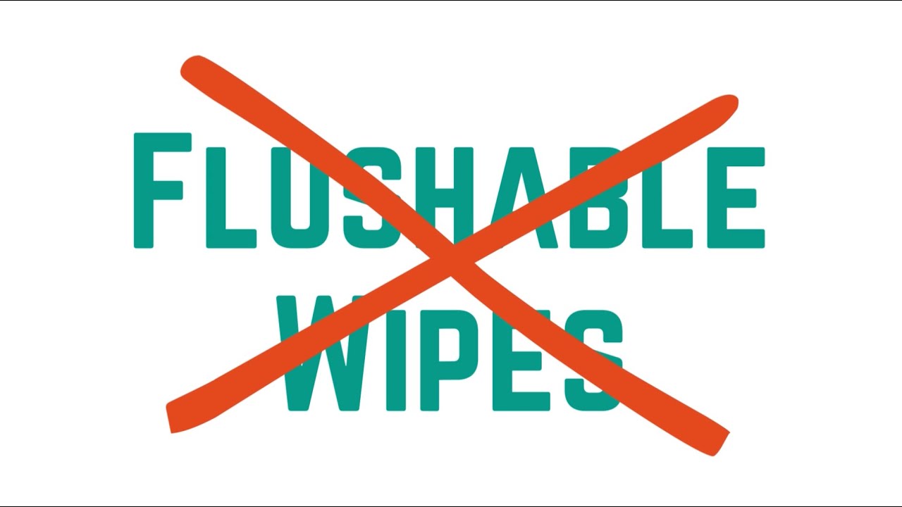 Why You Shouldn't Flush Wipes In Your Home YouTube