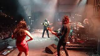 Richard Clapton - I Am An Island (Live at Taronga Zoo Feb 14th 2026)