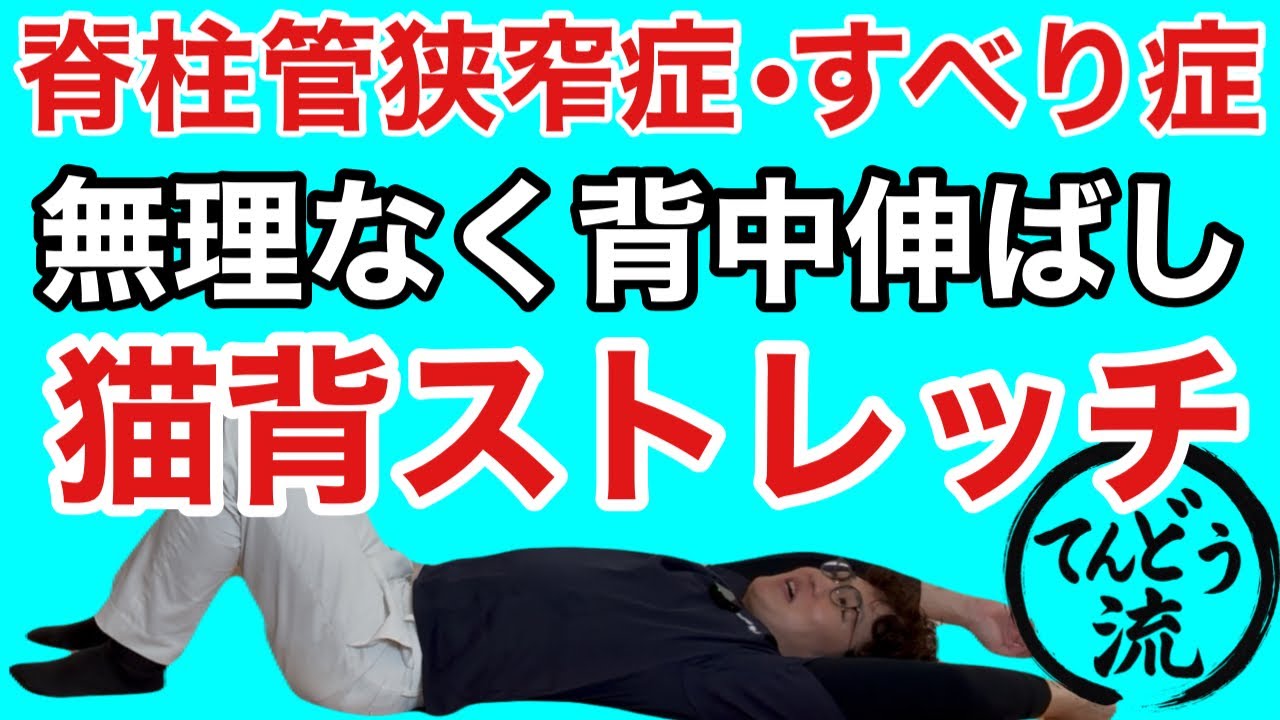 脊椎の分節的安定性のための運動療法　リハビリ　オステオパシー 脊椎の分節的安定性のための運動療法―腰痛治療の科学的基礎と臨床