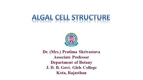 Dr. Pratima Shrivastava, M. Sc Pt I, Paper I, Unit I & B. Sc. Pt I, Paper I, Algal cell structure