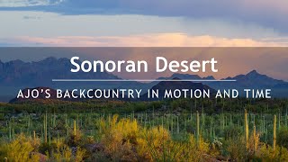 Sonoran Desert: Ajo's Backcountry in Motion and Time