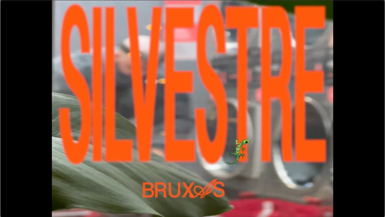 Watch Silvestre - Bruxas (official video) on YouTube Watch Silvestre - Bruxas (official video) on YouTube