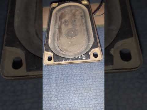 bass test
