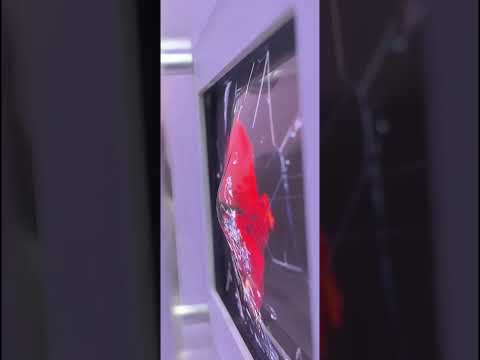 Samsung Stretchable pop-up 11-inch Micro LED display #mwc2025 #Samsung #MicroLED #Display