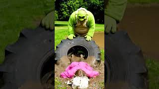 Shrek Pushed Jesus In The Mud