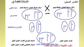 تمرين حول التهجين و إنتاج سلالات مرغوبة للسنة أولى ثانوي