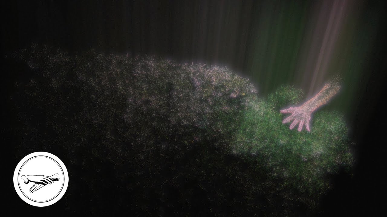 Kin Leonn - flowers... dripping (Official Visualizer)