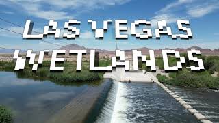 Vegas Wetlands 2022