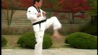 اسماء ركلات التايكوندو الاساسية - Basic taekwondo kicks names