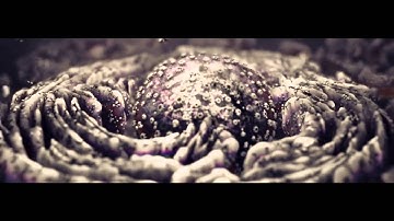 Dreamscape - We Are Infinity (Official Video)