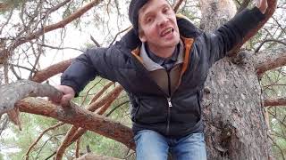 картинка: Не пей за рулем ( Cover И.Юламанов)