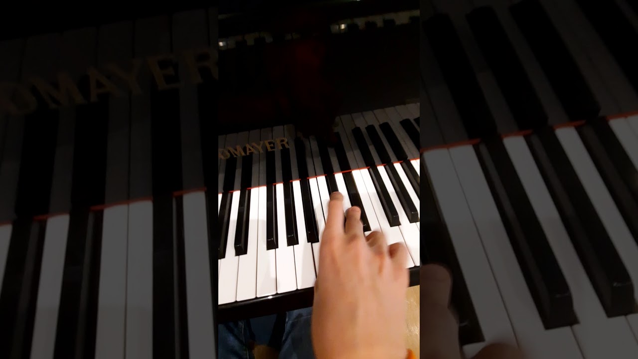 Chopin 25-6 is fisically impossible for me...