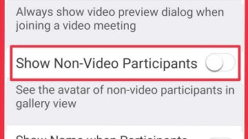 How To Turn On , Off Show Non-Video Participants Settings in Zoom Clouds Meetings