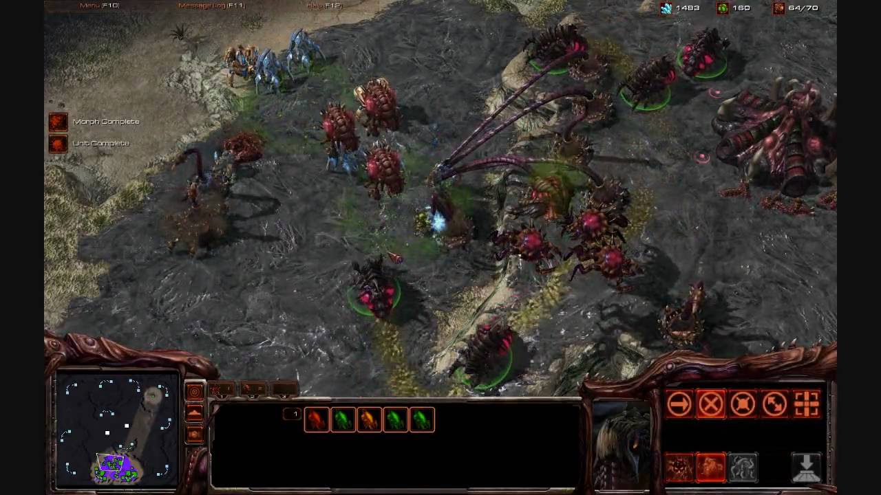 SC2 Zerg Strategy How Vitensby Defeated the Starcraft 2 All in One