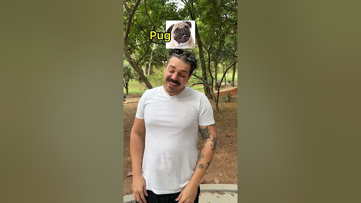 RAÇAS DE CÃES NA PRAÇA