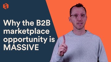 Expert insights into the B2B marketplace opportunity