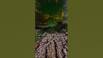 قرآن كريم بصوت جميل #قرآن #قران_كريم #تلاوة #quran #قران_كريم #قرآن #خشوع #خشوع_القرآن