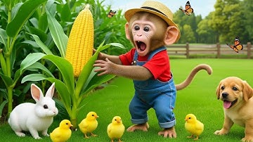 Monkey Mono Drives a Tractor to Find the Missing Duckling and an Unexpected Adventure at the Farm