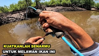 Tak pernah menyangka bisa nemu sarang ikan super predator