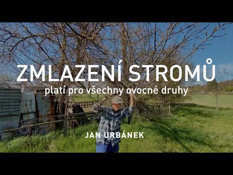 Video: Jak zasadit semena uvnitř (s obrázky)