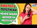 Яжемать Переписки: "Меняю ваших щенков на моего кота!" (Сборник)