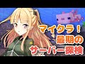 [LIVE]【マイクラ】視聴者参加型！マイクラ見納め！！【月宮雫】