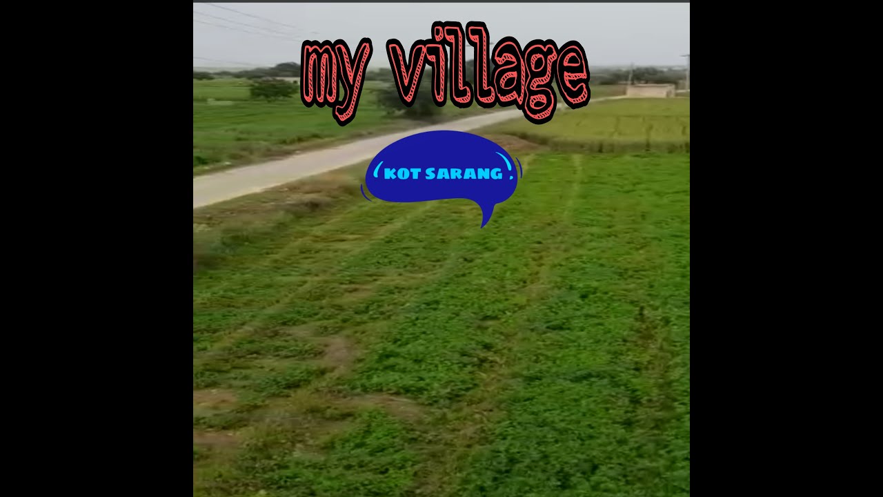 My village ! Kot sarang!