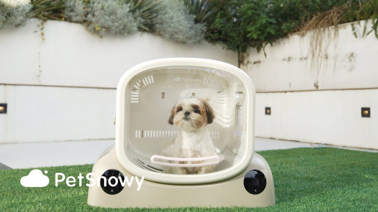 PetSnowy SMILE Pet Dryer Box: From muddy paws to fluffiness in a flash.