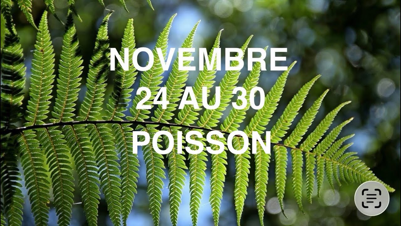 POISSON 24/30 NOVEMBRE                    RÉUSSITE DE PROJET 