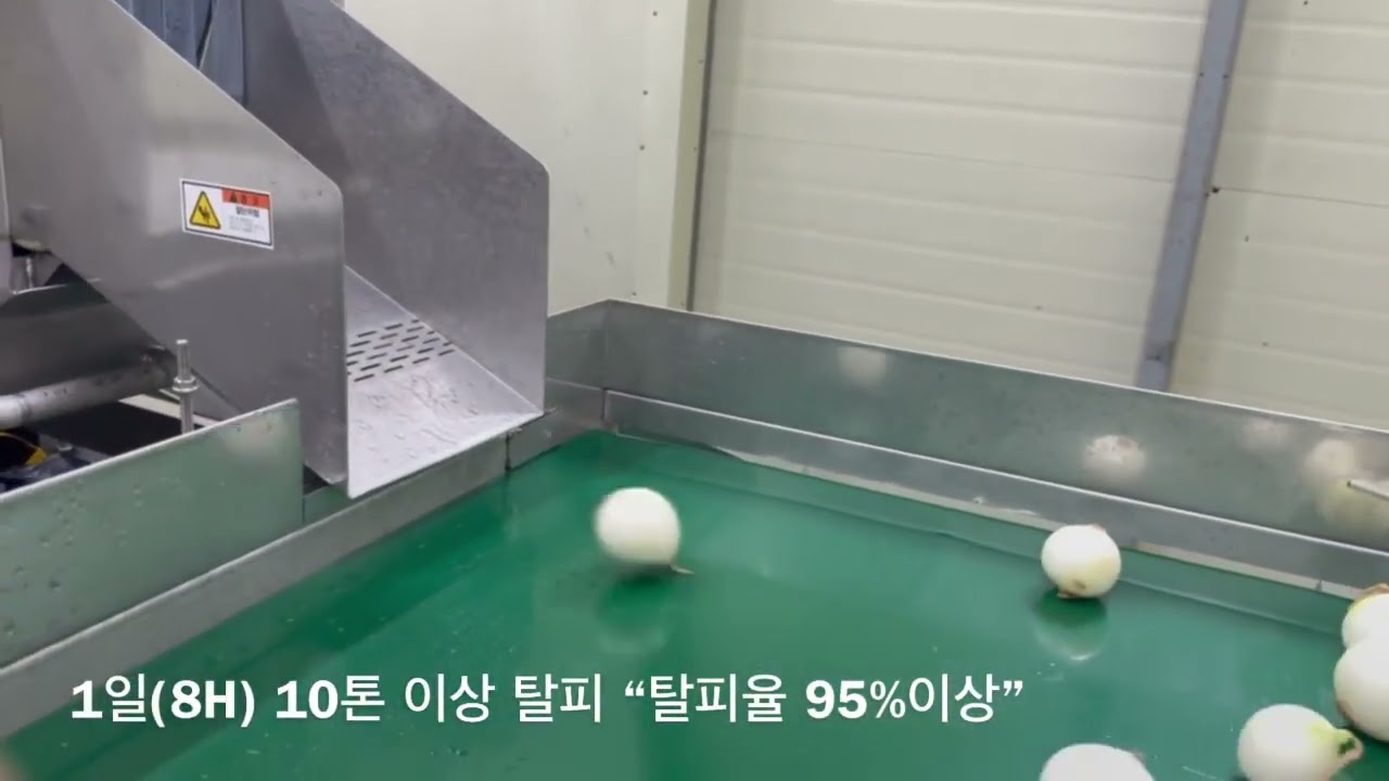 수압식 양파탈피기