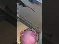 сидим вместе с Артёмом Сергеевичем