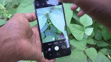 How to use grid line for photos and videos capture in Samsung Galaxy A03s