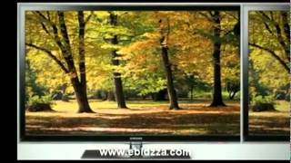 Is Ziinga A Scam - Ebidzza