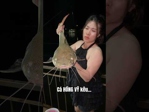 Cá Lăng Hồng Vỹ kêu ét ét giống heo con quá 😆 #vyhanfishing #caucatunhien