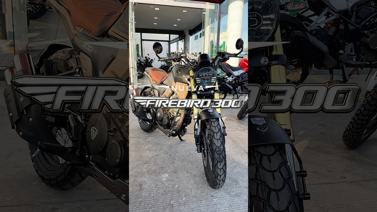 Verdades que NO duelen de la NUEVA FIREBIRD 300 de ITALIKA 