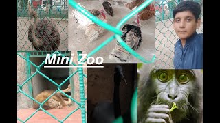 Mini Zoo ki Sair❤🥰./Asadullah Vlogs.