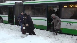 Москву завалило снегом по самые помидоры!) Где Собянин с лопатой?)