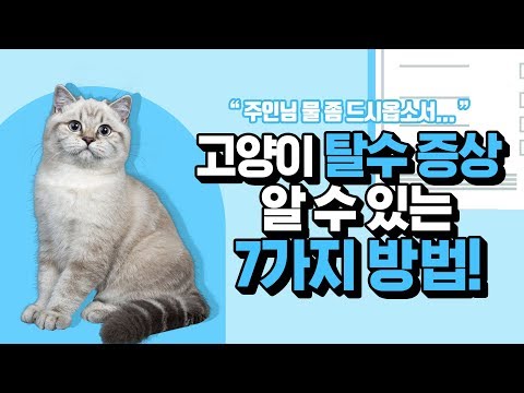 집에서 미리 체크할 수 있는 7가지 고양이 신체검사법 [24시수동물병원]