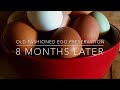 OLD FASHIONED EGG PRESERVATION UPDATE - 8 MONTHS LATER WITH NO REFRIGERATION!