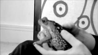 RIP SLIPPY