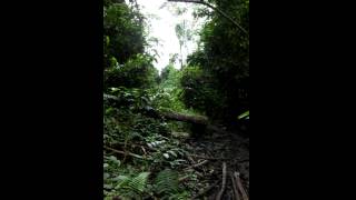 DSCF1452