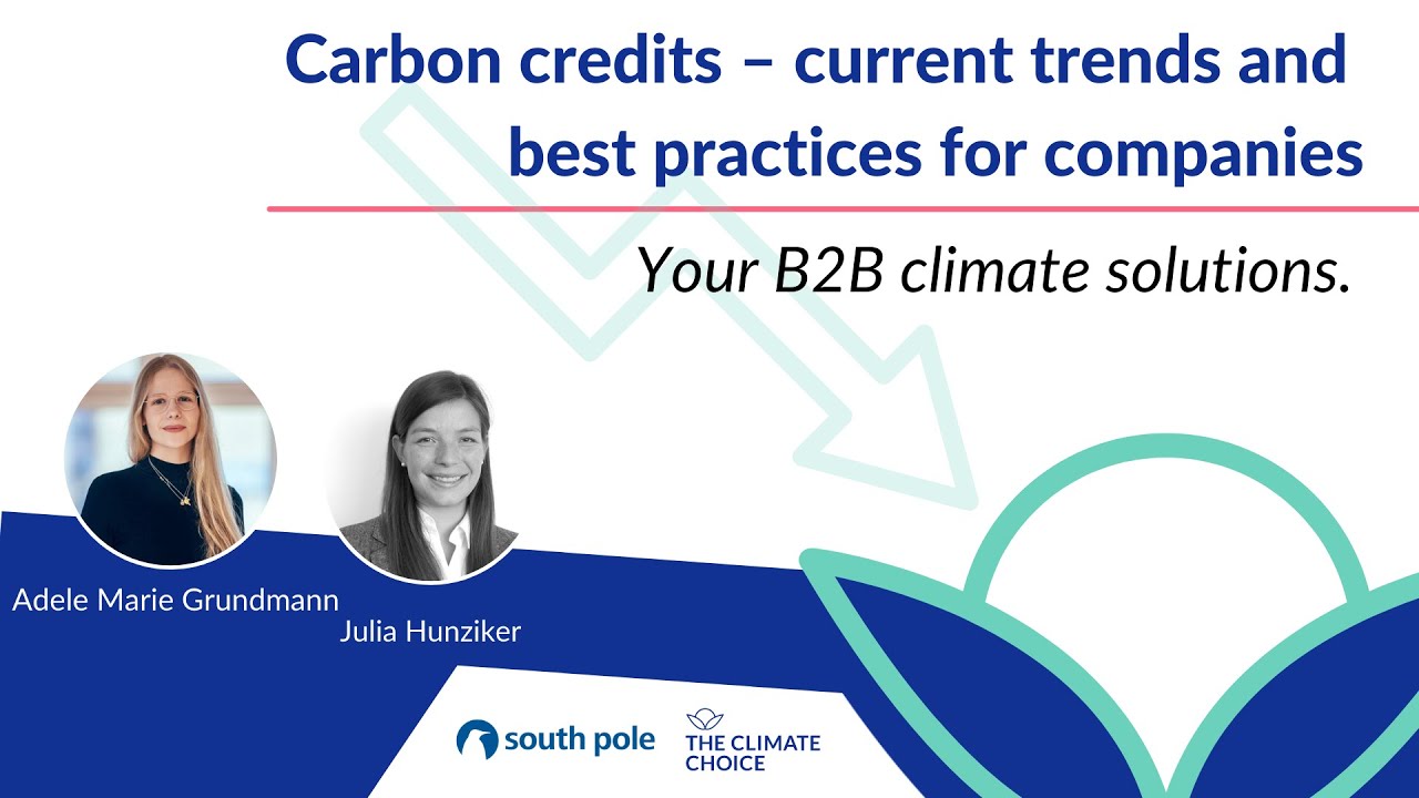 Carbon credits current trends and best practices for companies YouTube