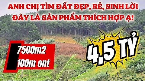 305| Đất View Đồi Thông Siêu Đẹp Nam Hà | 7.500m² Chỉ 4.5 Tỷ – Săn Ngay Kẻo Lỡ!