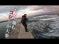 このフッキングで決めるぜメーン(麺)