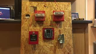 Mini System Test 12